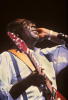 AlbertKing791166